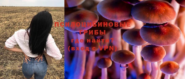 спиды Карпинск