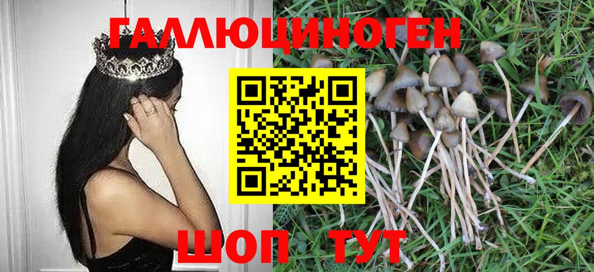 Каменск-Уральский  Галлюциногенные грибы MAGIC MUSHROOMS  Вход с VPN 